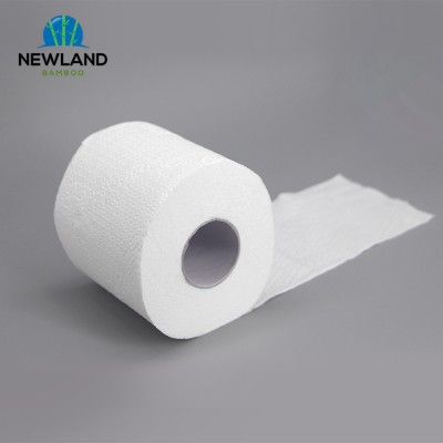 Best Quick Water Dissolving Flushable Dissolvable Toilet Paper Roll